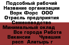 Подсобный рабочий › Название организации ­ Ворк Форс, ООО › Отрасль предприятия ­ Семеноводство › Минимальный оклад ­ 30 000 - Все города Работа » Вакансии   . Чувашия респ.,Алатырь г.